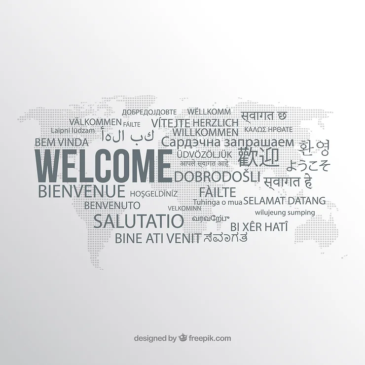 Which countries speak the most languages?